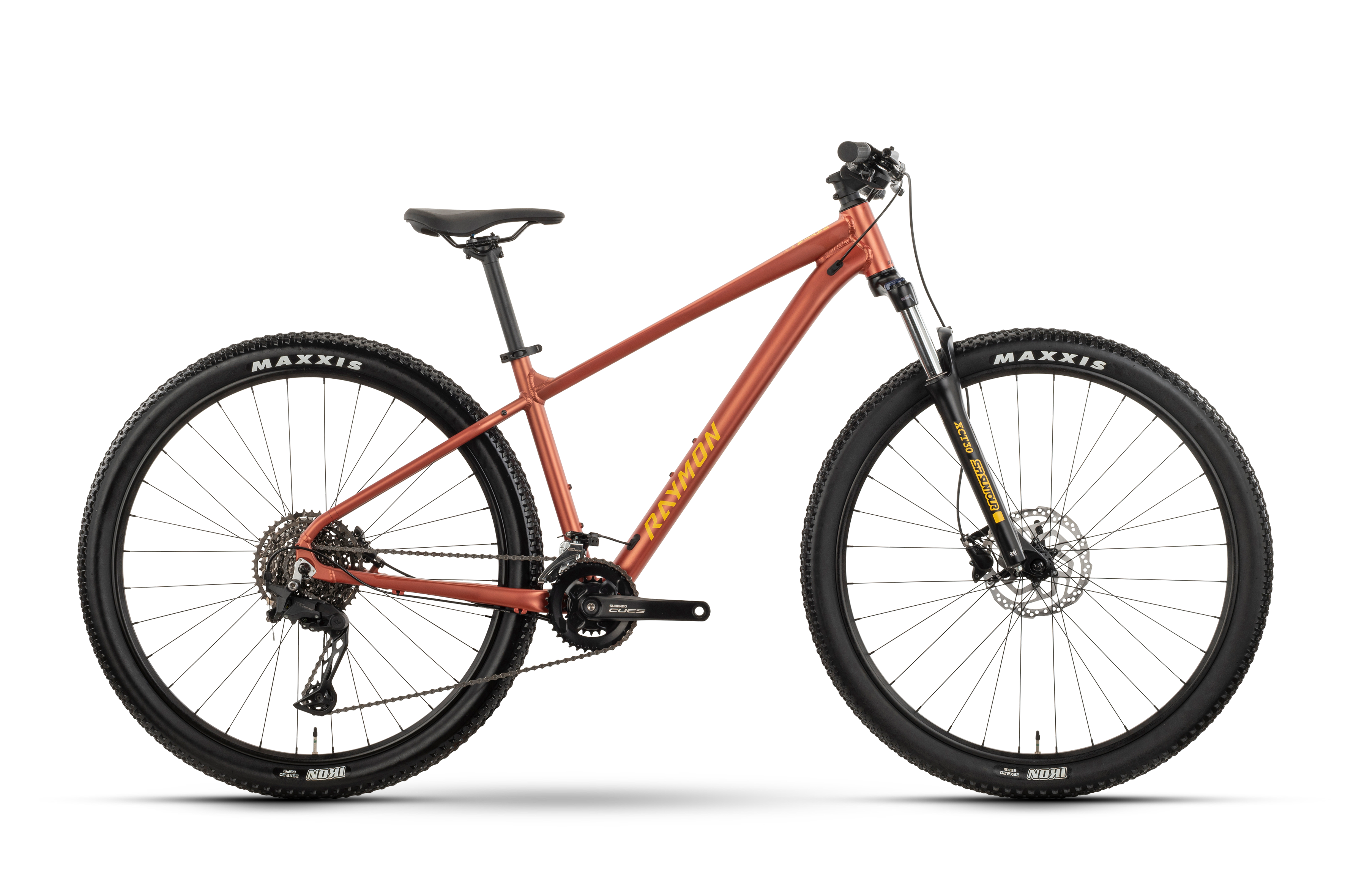 Raymon Nayta Pro | e-bikes4you.com